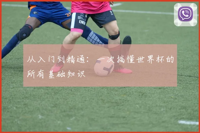 从入门到精通：一次搞懂世界杯的所有基础知识