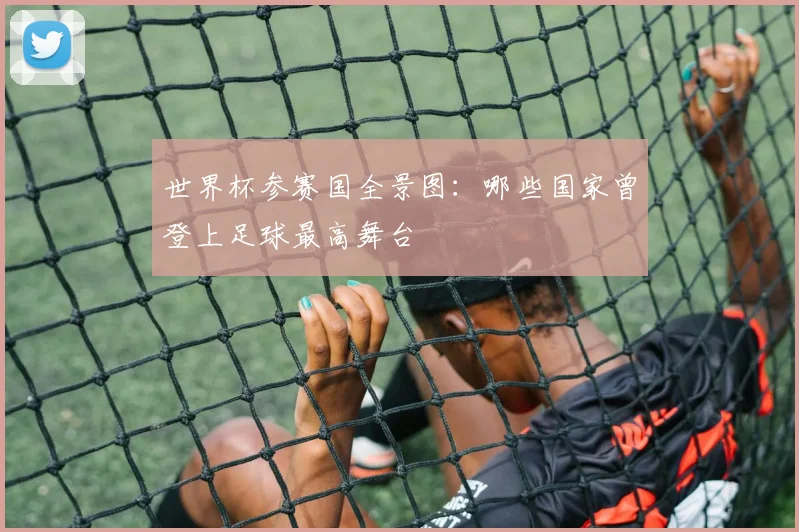 世界杯参赛国全景图：哪些国家曾登上足球最高舞台