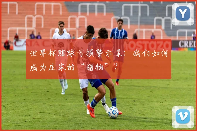 世界杯赌球亏损警示录：我们如何成为庄家的“猎物”？