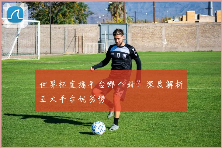 世界杯直播平台哪个好？深度解析五大平台优劣势