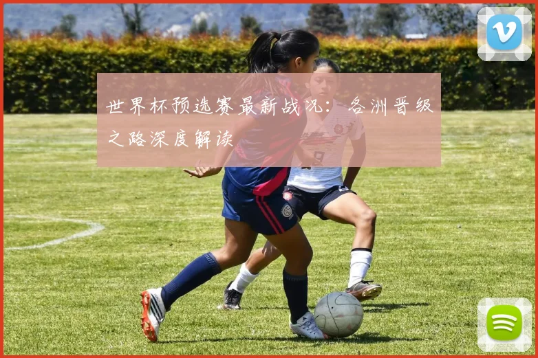 世界杯预选赛最新战况：各洲晋级之路深度解读