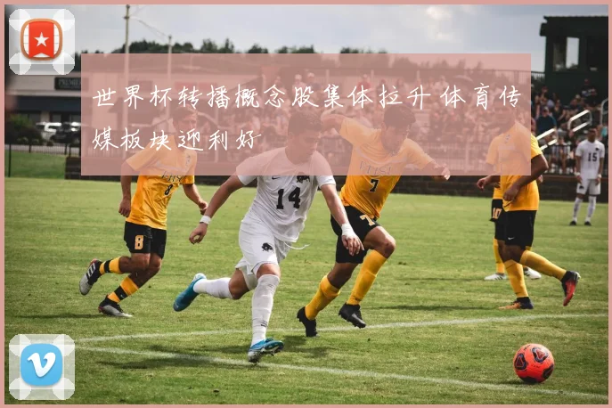 世界杯转播概念股集体拉升 体育传媒板块迎利好